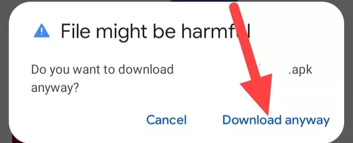 Click on Download anyway