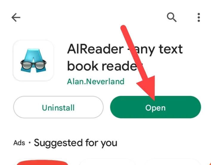 Open AI Reader